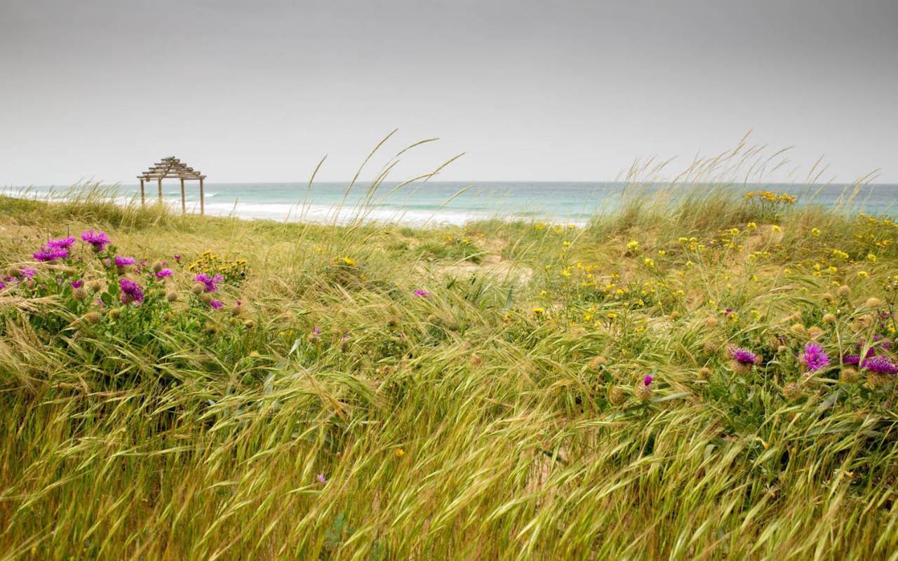 Romantic Beach Cabin - Playa El Palmar เอลปัลมาร์ ภายนอก รูปภาพ